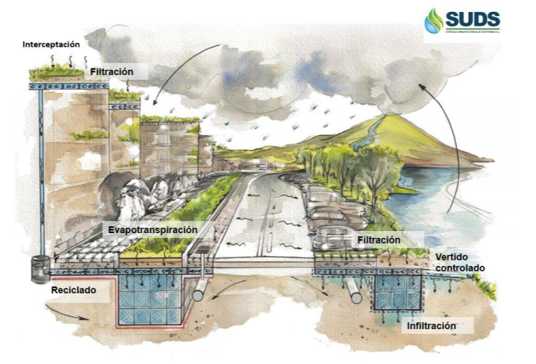 Actualmente las ciudades son grandes ecosistemas vivos, pero con una piel inerte e impermeable