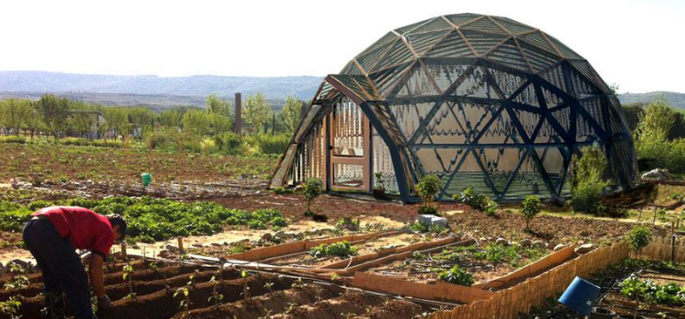 Otxarkoaga Auzo Green Factory activa soluciones basadas en la naturaleza